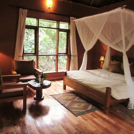 Primate Lodge Kibale Кампала Екстер'єр фото